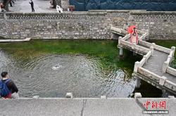 世界杯买球app在哪下载 -高于泉口水位2.11米，晋祠难老泉水位再创复流以来新高