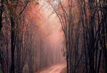 世界杯买球app在哪下载 -中超控股：公司生产经营一切正常