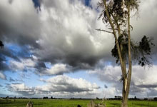 世界杯投注app -九阳净水申请净水机保温罐水位检测控制方法专利，有效防止水位溢出